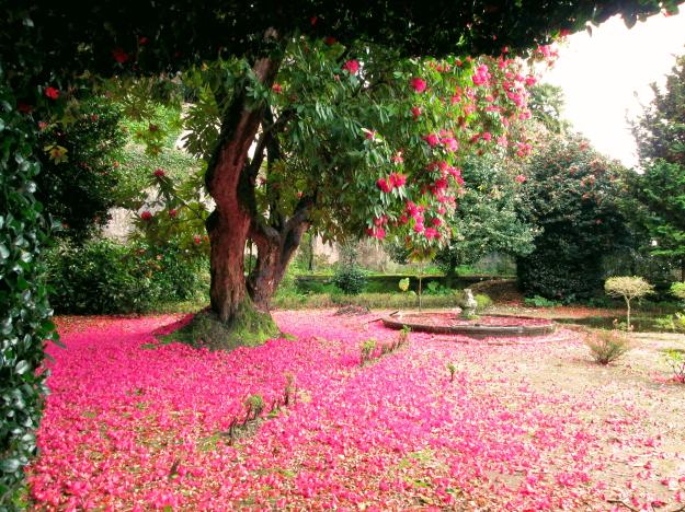 Bom Jesus do Monte 2