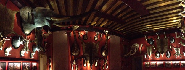 C'è a chi piace collezionare teste d'elefante: i trofei di Giuseppe de Reali